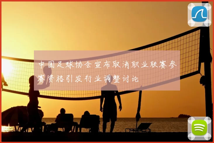 中国足球协会宣布取消职业联赛参赛资格引发行业调整讨论