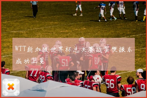 WTT新加坡世界杯总决赛战罢樊振东成功卫冕