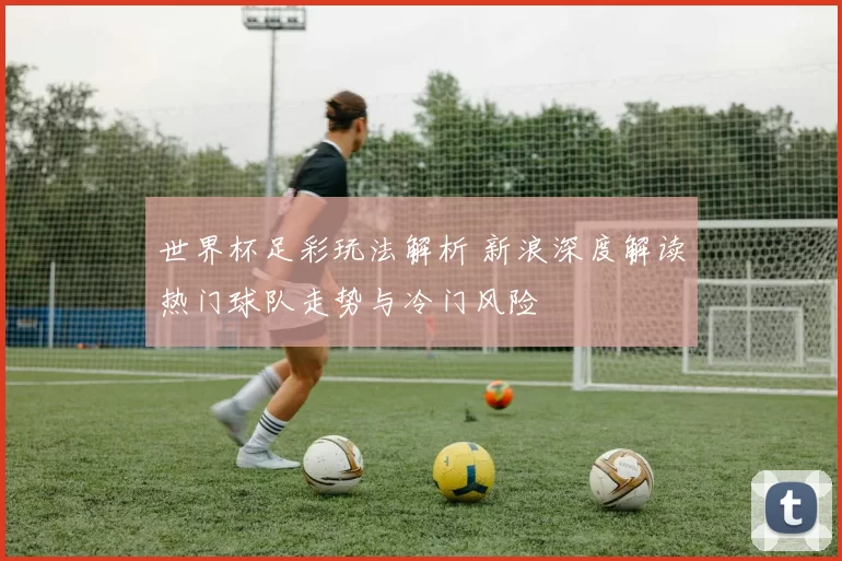 世界杯足彩玩法解析 新浪深度解读热门球队走势与冷门风险