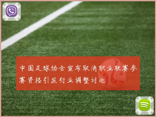 中国足球协会宣布取消职业联赛参赛资格引发行业调整讨论