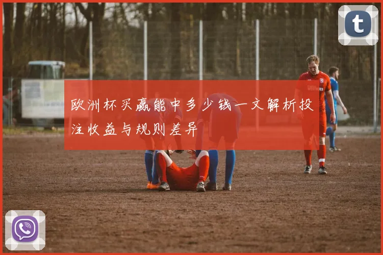 欧洲杯买赢能中多少钱一文解析投注收益与规则差异