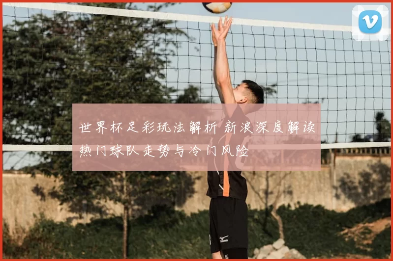 世界杯足彩玩法解析 新浪深度解读热门球队走势与冷门风险