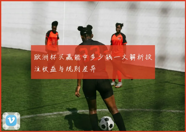 欧洲杯买赢能中多少钱一文解析投注收益与规则差异